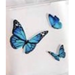 ButterflyM