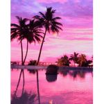 The tropicals<3