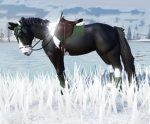 ~RoyalHoofsAcadmey~