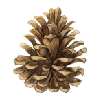 Pinecone restaurant