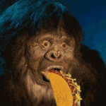 Gorillr∂ Torilla gang