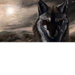 official team wolf group