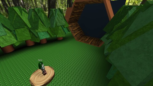 lost woods test