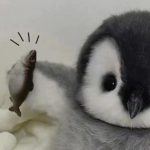 仲良くしようね:3