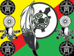 indian hingro turtle tribe