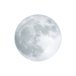 MOONWHITE