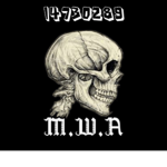 Mps.Wit.Attitude