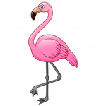 "THE FLAMINGO POKE!!!"