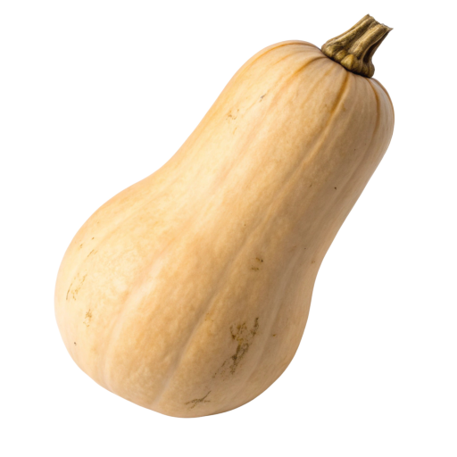 squash