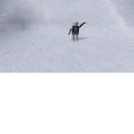Seal's United