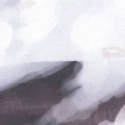 𝐑