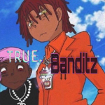 VeTexLengend Pure Bloodz
