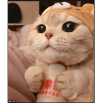 킹피스 그룹:>