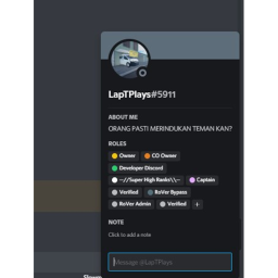 LapTPlays