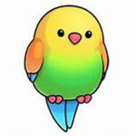 I Like Birds Group