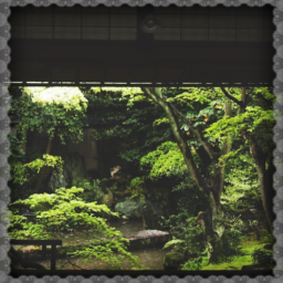 楽しい