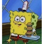 meme daily