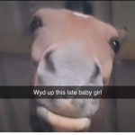 Swaggy UwU