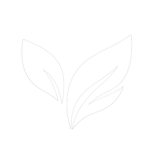 [NEW] AldiBlox Corporation