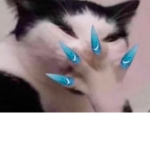The Cats Rebellion