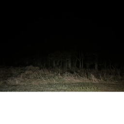 It Lurks
