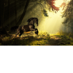 Forest Green Stables! (2nd version)
