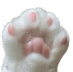Berry_