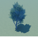 The Tree Raiders