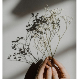 ♡︎