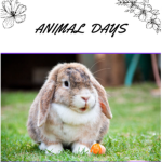 Animal Days