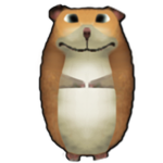 Front Facing Chomik
