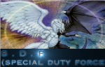 S.D.F