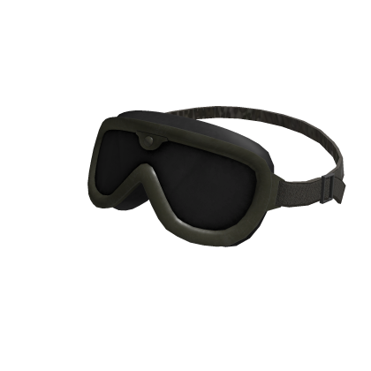 Raised Helmet Goggles Roblox item
