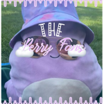 The Perry fans