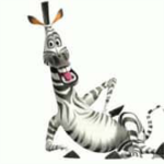 Martin the zebra FanClub