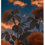 when nights change...