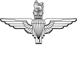 3rd Battalion The Parachute Regiment.