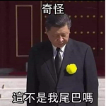 中文roblox群
