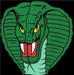 Mamba Security