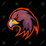 Ninja Eagle Nation
