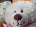 Teddies Group
