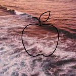 appIy