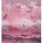 :Cloudy Aesthetics: