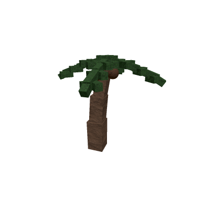 Palmera Inclinada Cocos