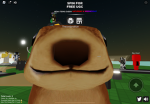 sails’ 40% robux group