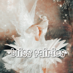 •bliss fairies•