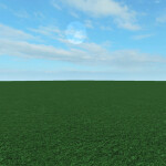 A Grassy Field