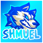shmuelWDF