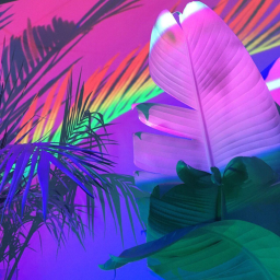 Clumsy's Homestore