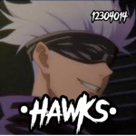 •HawKs•